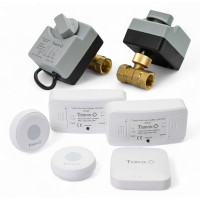 Tervix ZigBee Water Stop на 2 труби